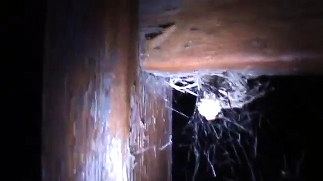 Spider Huntin' - Episode 2