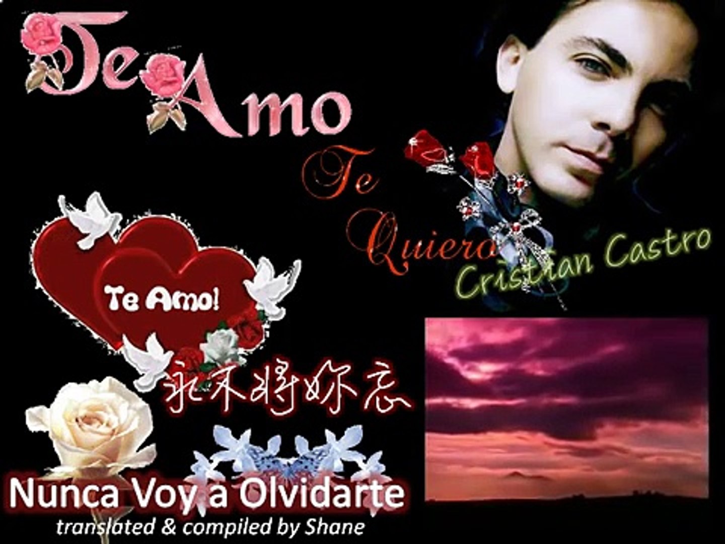 西班牙流行歌曲 Nunca Voy a Olvidarte 歌詞中文翻譯