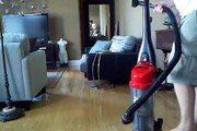 Vacuuming your dog