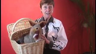 Puppet Basics: Glenda Bonin Shows How to Use a Puppet Without a Puppet Stage