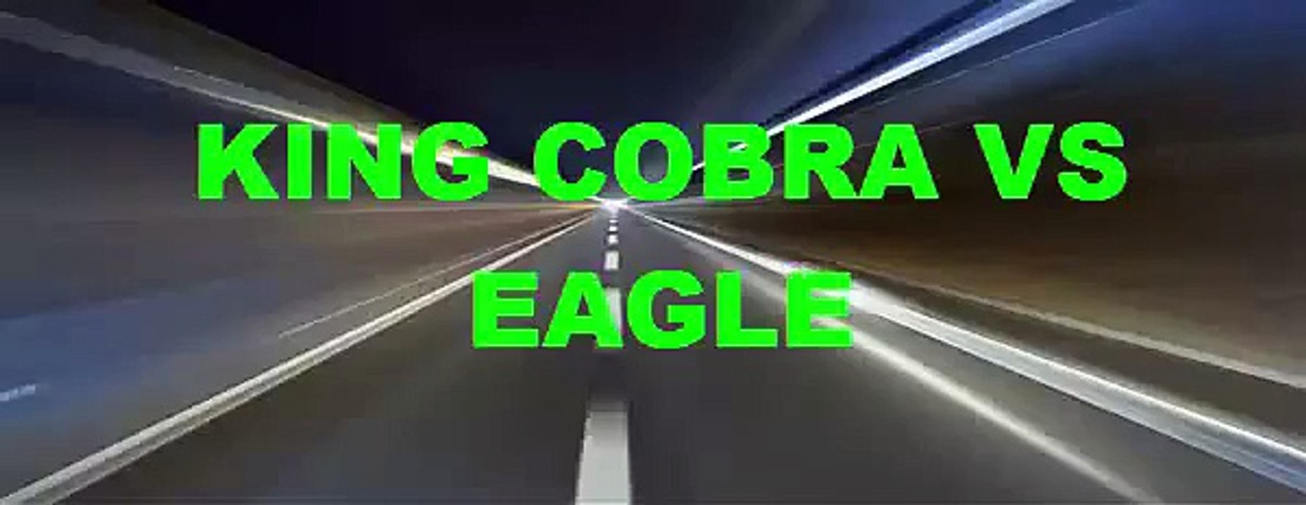 Eagle vs  Attacks Cobra, Animal Fight Videos Compilation Amazing of video animals HD