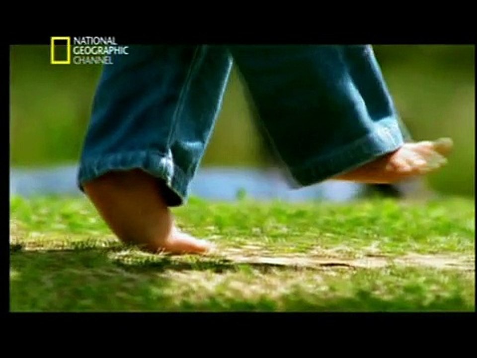 Embarazo 4/10 - En el vientre materno. National Geographic.