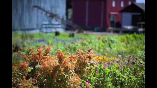 Larriland Farm