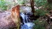 Panhandle Gap Wonderland Trail MT Rainier National Park
