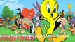Looney Tunes Finger Family Collection Baby Looney Tunes Cartoon Animation Preschool Educat