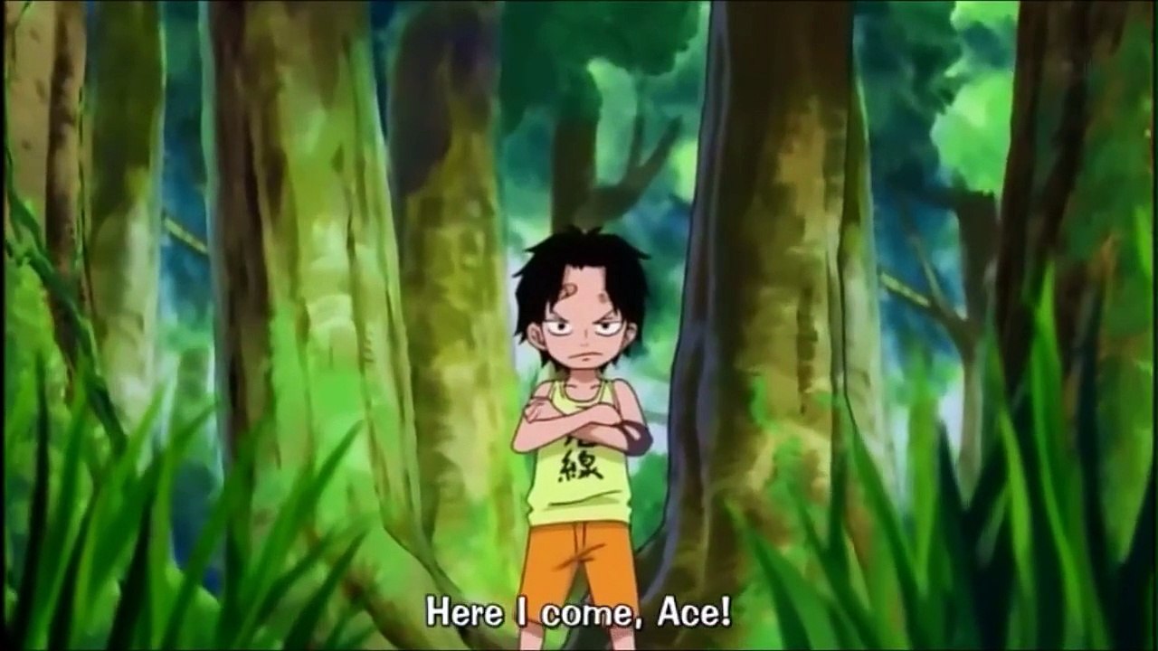 ONE PIECE Funny- Who is the better brother?? Ace or Sabo?