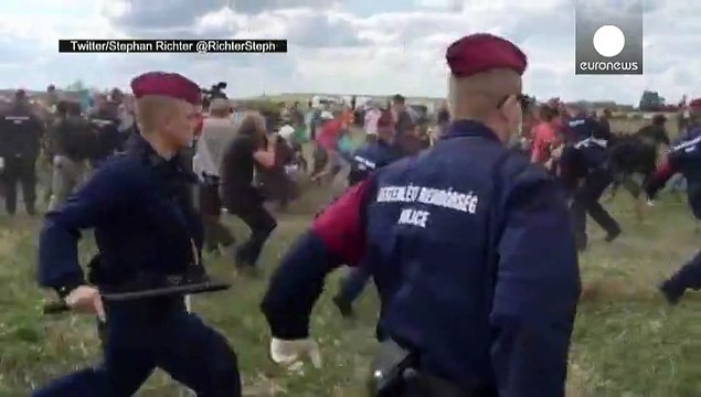 فیلمبرداری که با لگد به جان مهاجران افتاده بود از کار اخراج شد