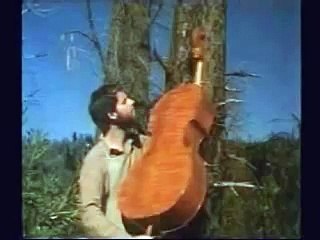Crafting a violin traditionally