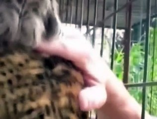 ソ평택출장안마Ok ０１０~２１７８~９５０５=평택출장마사지