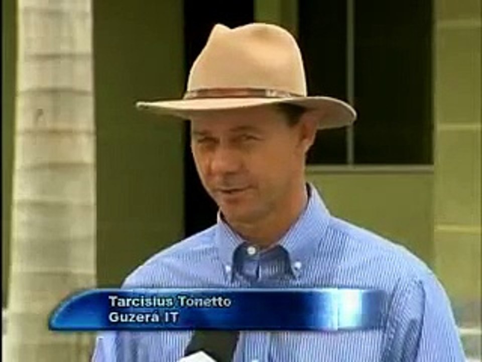 Leilão Guzerá Perfeita União - Março 2012
