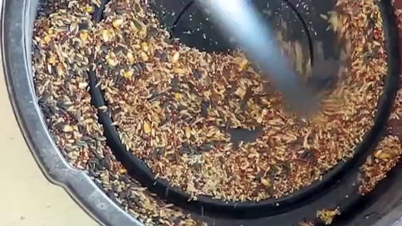 Grain Sample Farm Vacuum