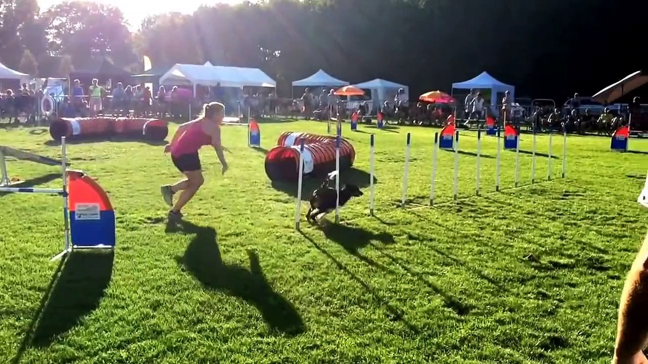 Finale Border Collie Classics 2015 - Mona Grefenstein & Infinity Light Come on Qju