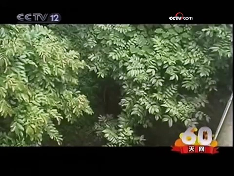 受伤小象现身野象谷 森林守护者救助生命 - part 2