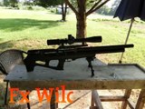 Fx Wildcat  25 air rifle VS  matches @ 50yds