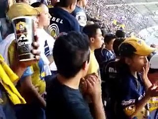 Pumas Rebel en el Gallinero,  Somos lokales otra vez