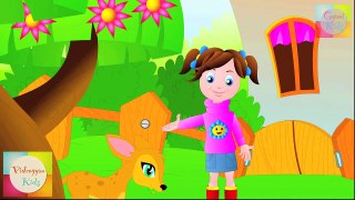 Hokey Pokey Nursery Rhyme   Cartoon Animation Songs For Children