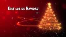 NAVIDAD - FELICES FIESTAS