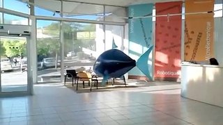 Les requins attaquent le LIRMM