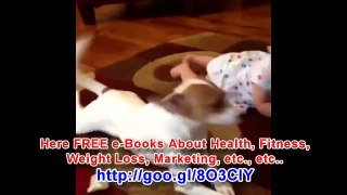 Funny Baby Songs