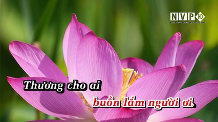 Đường Về Quê Hương - Quang Lê -Thanh Son HD (Beat Full ) 1080p