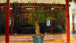Hoi An Travel Video Guide