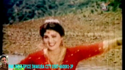 WAGDI AE- NOOR JHAN -pak punjabi song ーHD ハラルスパイス岩倉市ジャパンSPICE FOOD JP_1