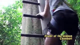 Chonburi Go Gibbon Zipline Obstacle Course and Jungle Gym by Flight of the Gibbon