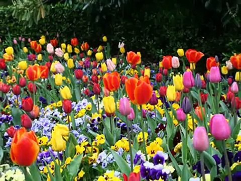 Reflexiones cristianas cortas Tu naturaleza AvanzaPorMas