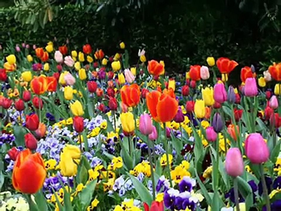 Reflexiones cristianas cortas Tu naturaleza AvanzaPorMas