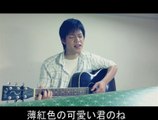 ハナミズキー　ギータ　。　hanamizuki guitar cover