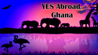 YES Abroad Vlog #1 - Introduction