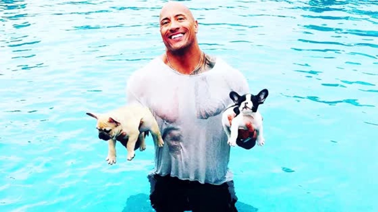 Dwayne 'The Rock' Johnson rettet seine Welpen