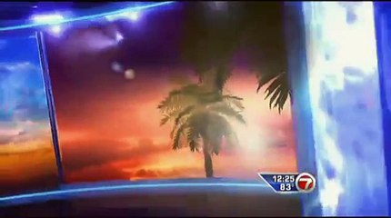 WSVN-TV 7NEWS Video Julie Durda Weather girl hot dress