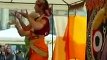Indian Summer - Steffi the Matriarch Elephant - 46 years old - Steffi die Leitkuh der Elefanten [Full Episode]