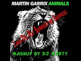 mashup martin garrix e lana del rey summertime animals sadness by dj marty