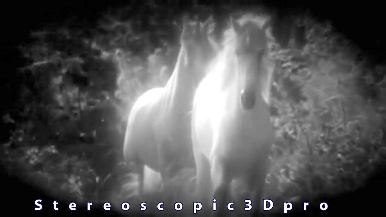 Real Unicorn Sighting caught on tape Amazing Raw  footage IN  HD.