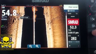 SIMRAD NSS EVO2 STRUCTURE SCAN - HOW TO FIND FISH 2