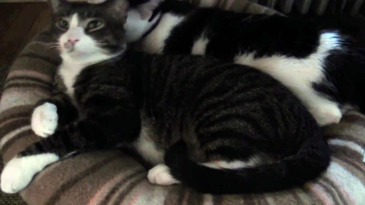 Barnaby and Pete