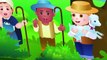 BABY SONGS TV   06   2 Johny Johny Yes Papa, Humpty Dumpty and Many More Kids Songs   Popular Nurser