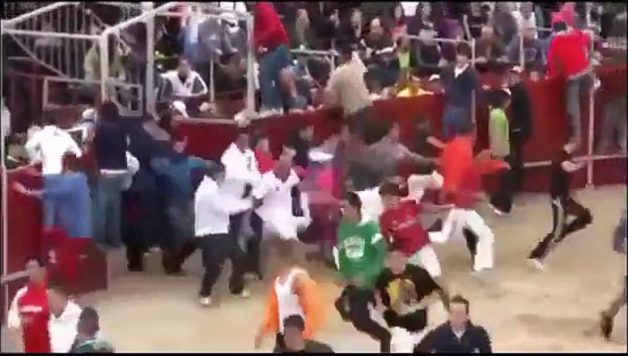 Funny videos People fail bull fighting Funny Animals videos Bull Fails Videos