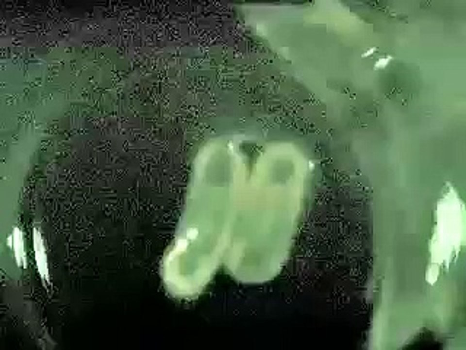 Video showing you how to talk to the dead (need headphones)