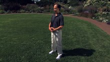 Breathing of the Universe with Master Chunyi Lin - Spring Forest Qigong