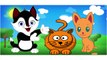 Finger Family 3D Cat Compilation Nursery Rhymes 3D Cartoon Animation Nursery Songs for Kids