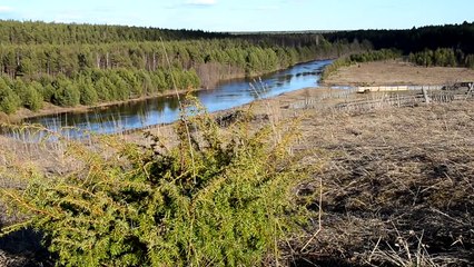 Счастливые люди или почему у меня нет загран паспорта