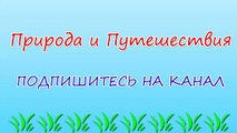 Природа и Путешествия #91 Самые Красивые и уникальные места на планете Земля - ЛУЧШЕЕ