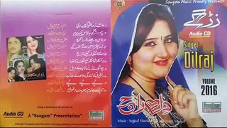 Dilraj New Song 2015 Zama Yar Sha New Pashto Song 2015
