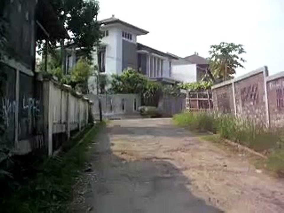 FLAMBOYAN