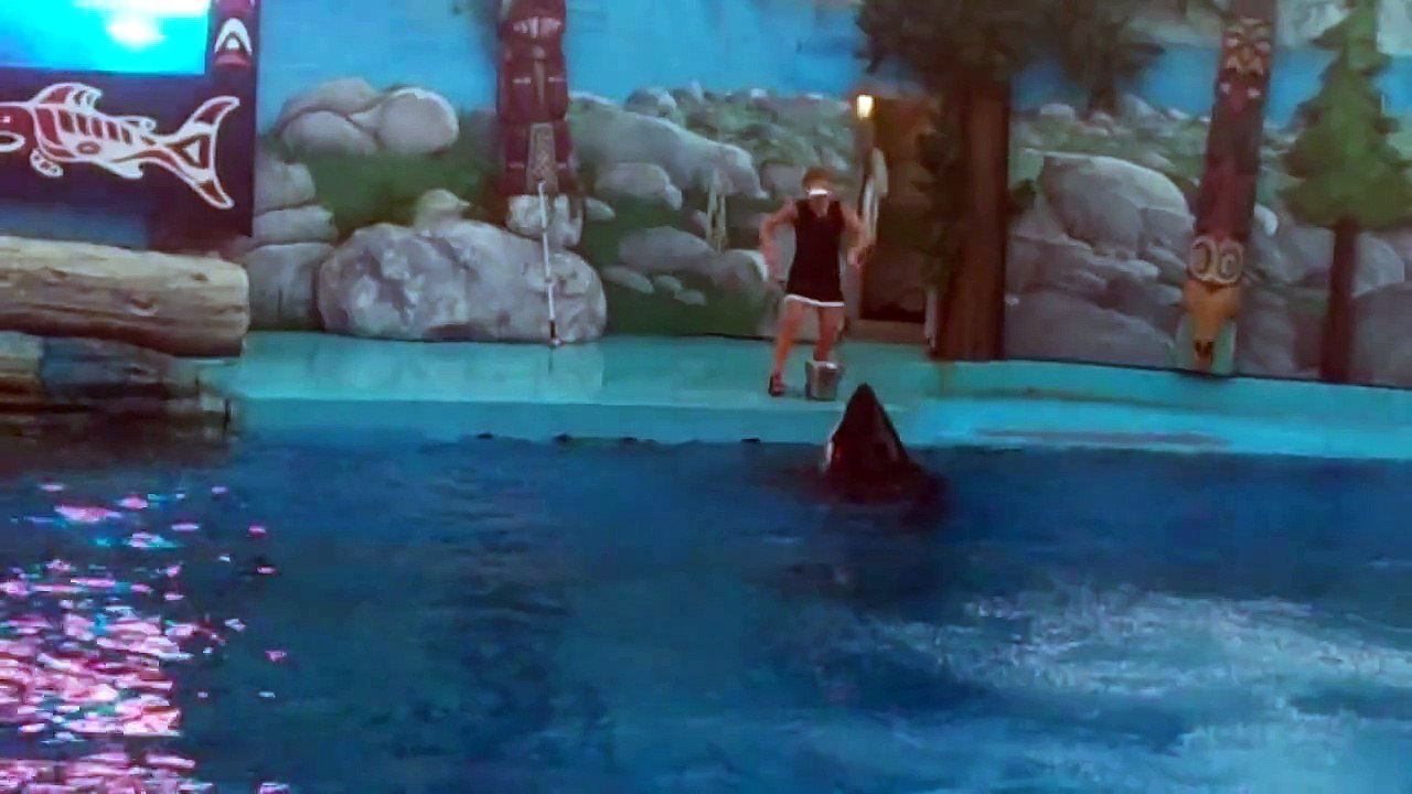 Shouka's Side Breaches