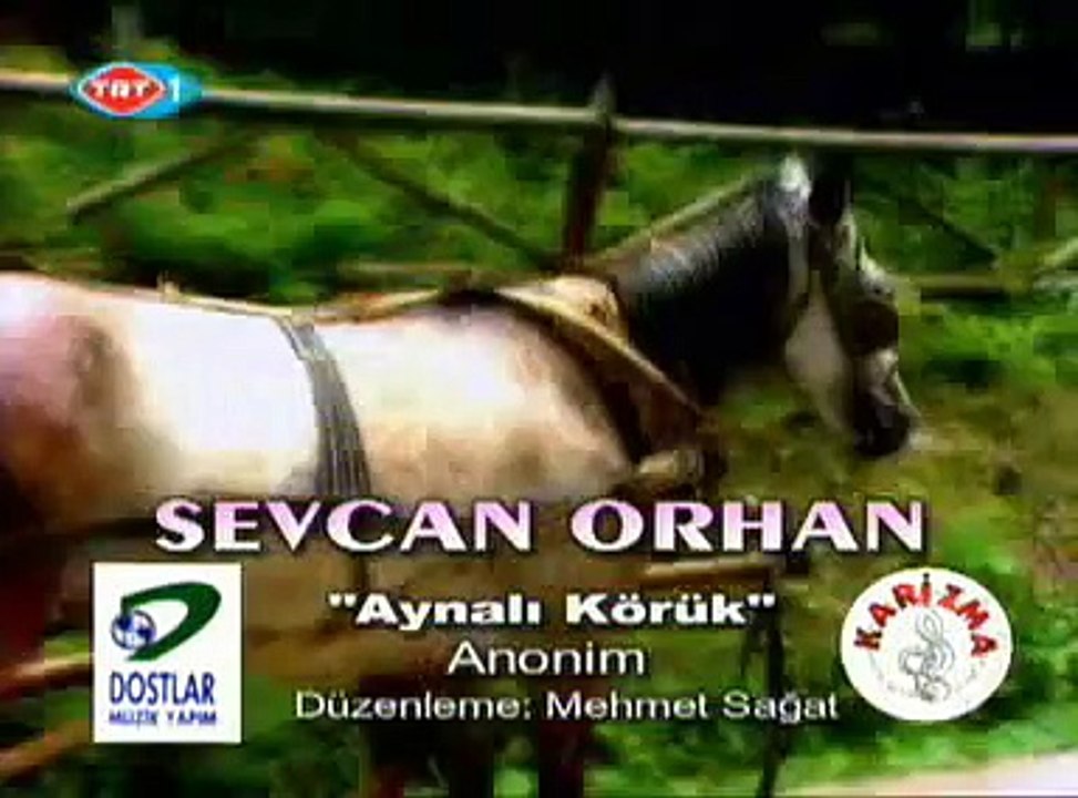 Sevcan Orhan, Aynalı Körük