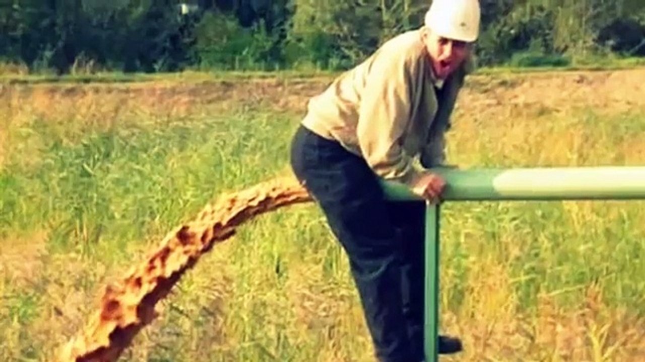 Diarrhea (Ode To The Stool Sample)